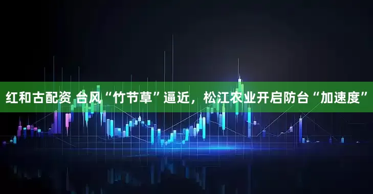 红和古配资 台风“竹节草”逼近，松江农业开启防台“加速度”